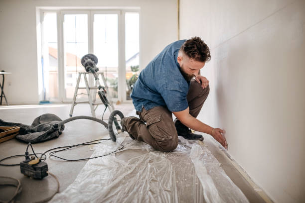 Best Drywall Sanding and Smoothing  in Garner, IA